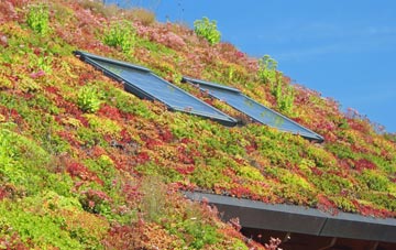 Langton Matravers living roof systems
